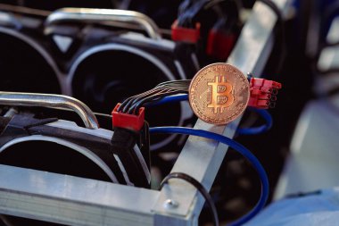 Bitcoin madencilik çiftliği ve salgın hastalık. Yeni hayatımız
