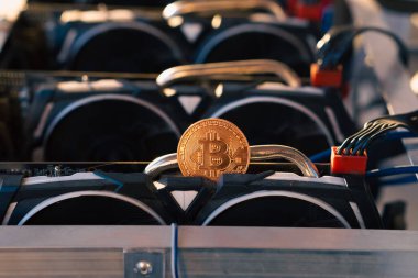 Bitcoin madencilik çiftliği ve salgın hastalık. Yeni hayatımız