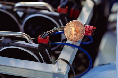 Bitcoin madencilik çiftliği ve salgın hastalık. Yeni hayatımız