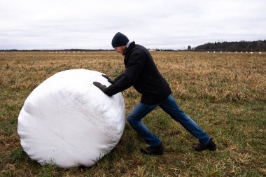 Çiftçi ve saman yığınları kış için toplandı
