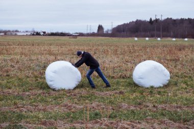 Çiftçi ve saman yığınları kış için toplandı