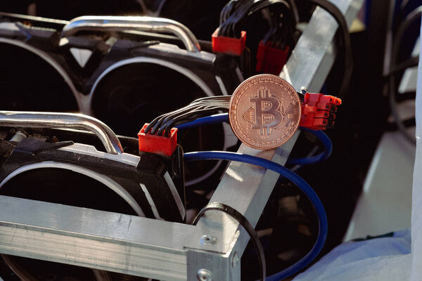 Горнодобывающая ферма Биткойна и пандемия. Наша новая жизнь