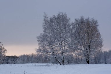  Moskova 'da şiddetli kar yağışı var. Yeni Yıl Arifesi