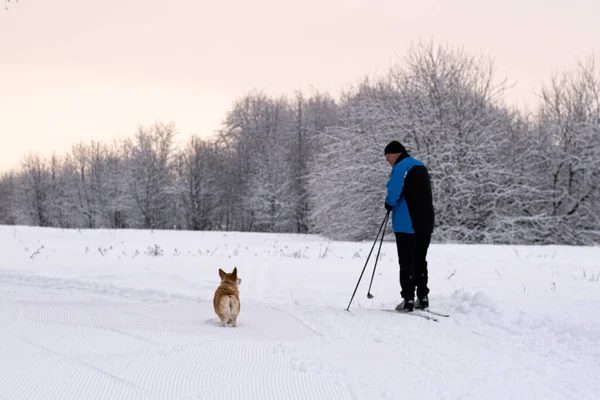14.12.2021. Rusya, Moskova. Moskova 'da yoğun kar yağışı
