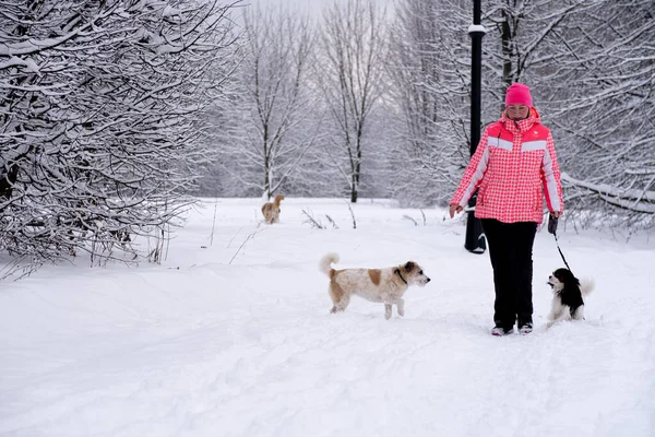 14.12.2021. Rusya, Moskova. Moskova 'da yoğun kar yağışı