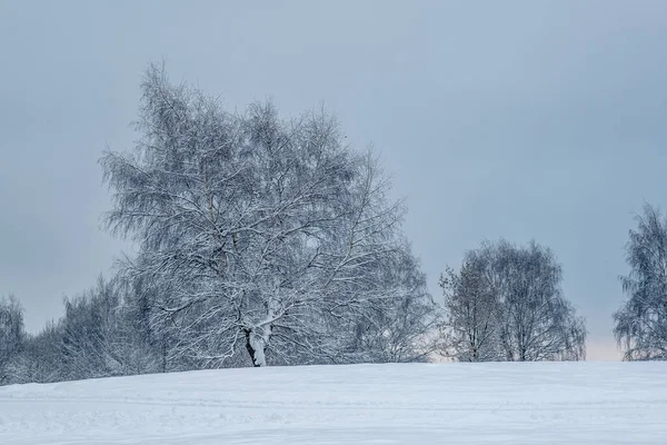 Zware sneeuwval in Moskou. Oudejaarsavond — Stockfoto