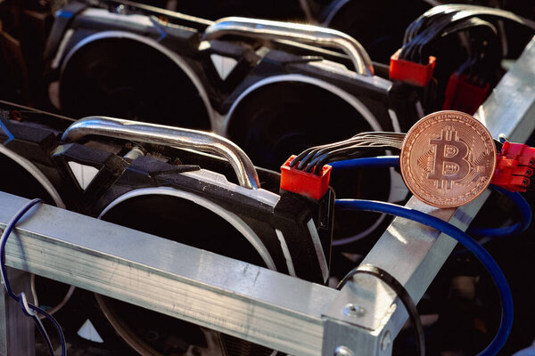 Горнодобывающая ферма Биткойна и пандемия. Наша новая жизнь