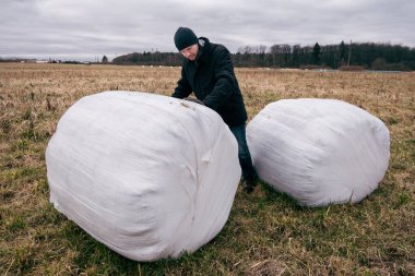 Çiftçi ve saman yığınları kış için toplandı