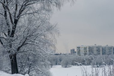 Parkta büyülü bir kış