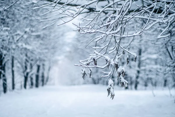 Zware sneeuwval in Moskou. Oudejaarsavond — Stockfoto