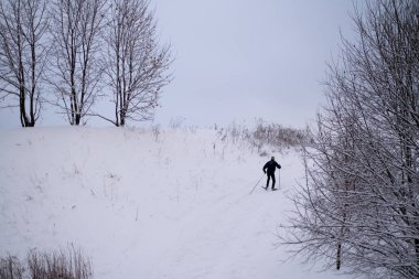 Parkta büyülü bir kış. Soğuk bir gün.