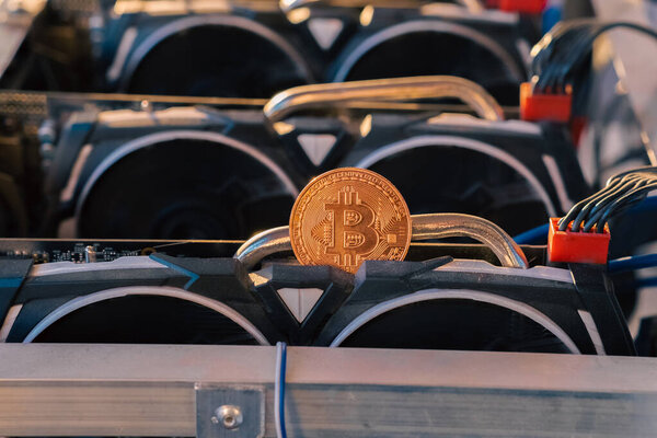 Горнодобывающая ферма Биткойна и пандемия. Наша новая жизнь