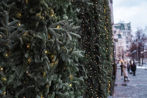 Christmas tree. Preparing for the New Year — Stockfoto