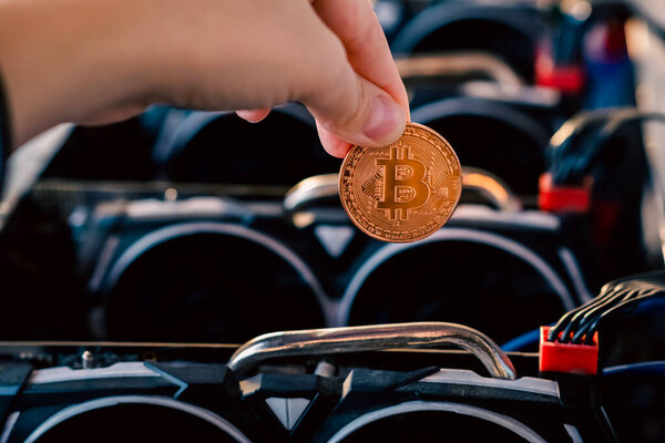 Горнодобывающая ферма Биткойна и пандемия. Наша новая жизнь