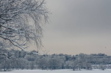 Parkta büyülü bir kış. Güzel gökyüzü ve beyaz kar