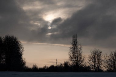 Sessiz bir kış akşamı ve yalnız bir ağaç.