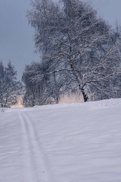 Magische winter in het park. Prachtige lucht en witte sneeuw — Stockfoto