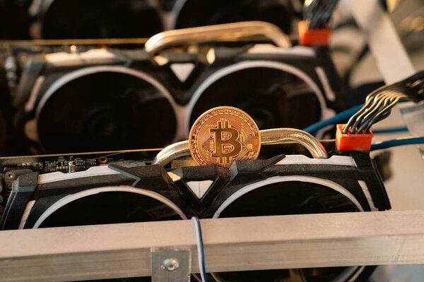 Горнодобывающая ферма Биткойна и пандемия. Наша новая жизнь