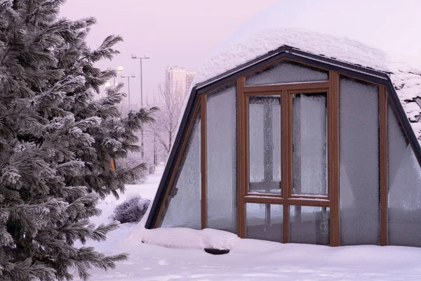 Verschneiter Winter. Kugelförmiges Haus zwischen schneebedeckten Tannen — Stockfoto