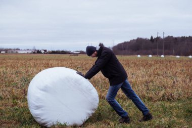 Çiftçi ve saman yığınları kış için toplandı