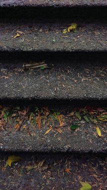 sonbahar yaprakları ile beton merdivenler