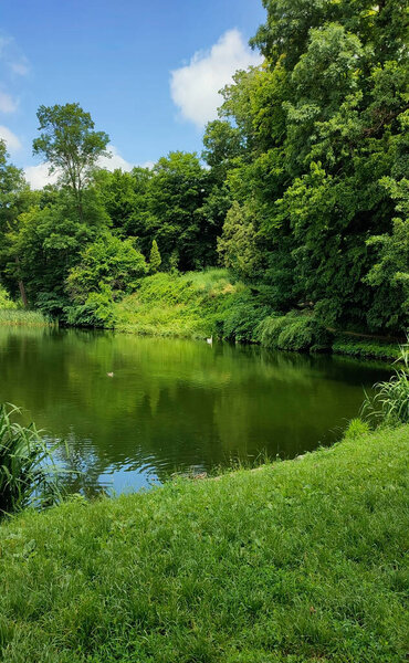 Lake in the green summer forest