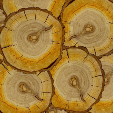  Ağaç halkası desenli dairesel ahşap kesiti