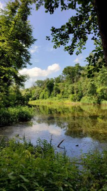 Yaprak döken ormandaki gölün duvar kağıdı.