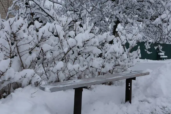 Komşunun evinin yanında karla kaplı yalnız bir bank. Yüksek kalite fotoğraf