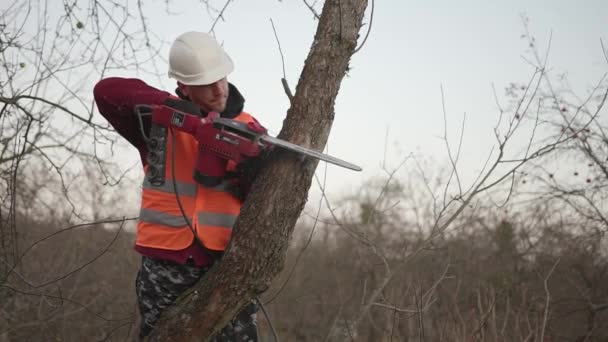 Joven trabajador en un casco sierra un árbol — Vídeos de Stock