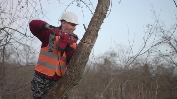 Fiatal munkás sisakban fűrészel egy fát — Stock videók