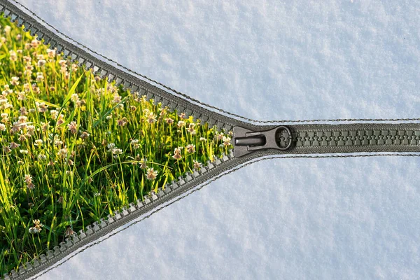 若い緑の草は ジップファスナーで固定された白い雪の均一な層の下に見えます テクスチャ — ストック写真