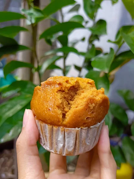 Ein Köstlich Aussehender Schokoladen Cupcake — Stockfoto