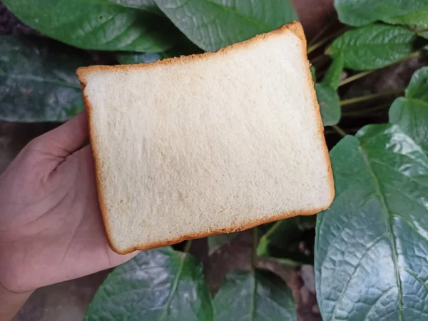 Een Stuk Wit Brood Als Ontbijt — Stockfoto