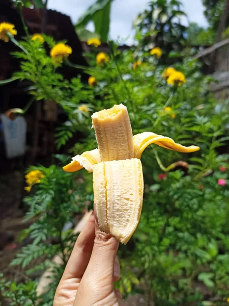 Plátano Amarillo Mordido — Foto de Stock