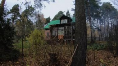 Rusya 'daki kır evinde güzel bir doğa. Tatil Evi.