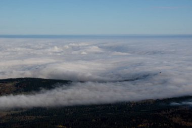 Bavyera Ormanı 'nın sonbahar hava manzarası
