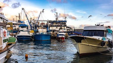 Yazı işleri. İstanbul. Balıkçı tekneleri balıkçı iskelesine döndükten sonra demirlediler.