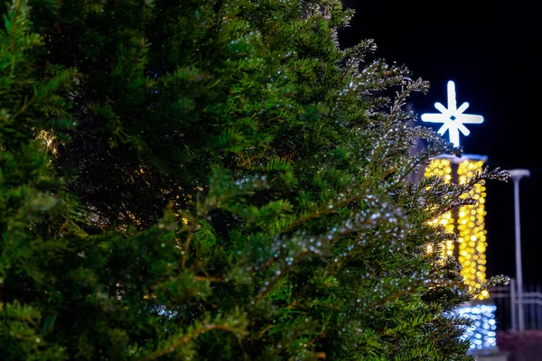 Ледяные ветви деревьев на переднем плане с красивой рождественской звездой боке. Праздничные детали. — стоковое фото