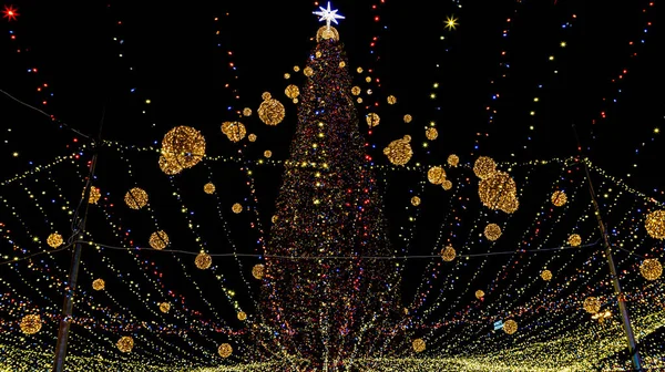 Geceleri renkli ışıkları olan bir Noel ağacı. Yüksek kalite fotoğraf.
