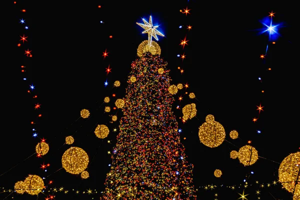 Geceleri renkli ışıkları olan bir Noel ağacı. Yüksek kalite fotoğraf.