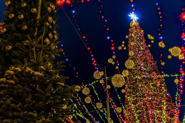 Kyiv, Ukrayna-Ocak 03.2021: Kyiv 'deki Sofya Meydanı' ndaki Ana Ukrayna 'nın Yeni Yıl ağacının geniş açılı görüntüsü. Peri masalı süslenmiş ağaç ve Sophia Meydanı 'ndaki Noel pazarı. Manzaralı kış akşamı. Yüksek kalite fotoğraf