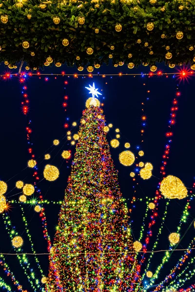 Decoration Lighting Concept Beautiful Decorated Illuminated Christmas Tree Black Background — стоковое фото