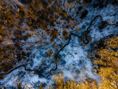 Açık bir kış sabahı ve parlak bir gündoğumunda, karlı bir ormanın üzerindeki nehrin havadan görünüşü