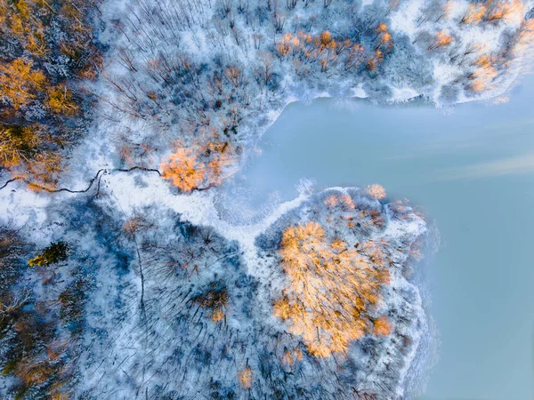 Drone view of a river with an icy lake on a snowy forest plain during a clear winter morning and bright sunrise — Stock Photo, Image