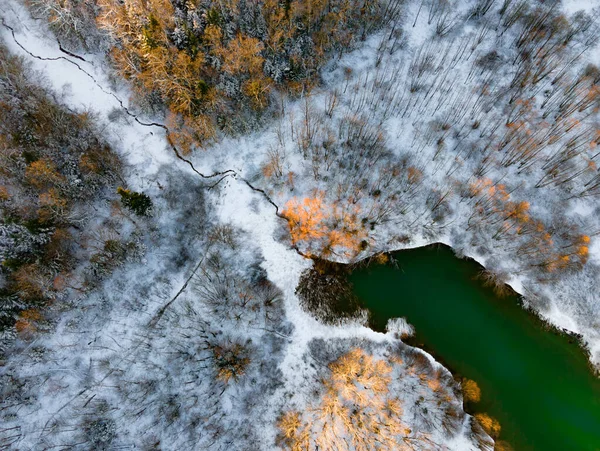Aerial view of the river on a snowy forest plain during a clear winter morning and bright sunrise — Stock Photo, Image