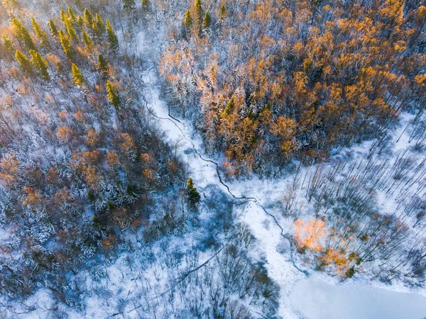 Vue par drone d'une rivière avec un lac glacé sur une plaine forestière enneigée par un matin d'hiver clair et un lever de soleil éclatant — Photo