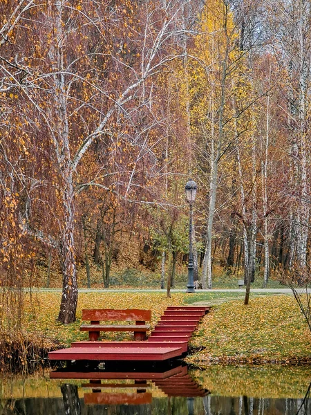Bänk Och Träd Parken Hösten Med Reflektion Vattnet Högkvalitativt Foto — Stockfoto