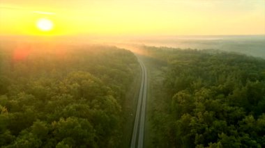 4K video ormanın ortasındaki tren yolunda sonbaharda şafak vakti kuş bakışı bir bakış açısıyla.