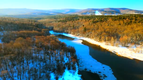 Nagranie z drona na rzece z lodowatym jeziorem na zaśnieżonej równinie leśnej — Wideo stockowe